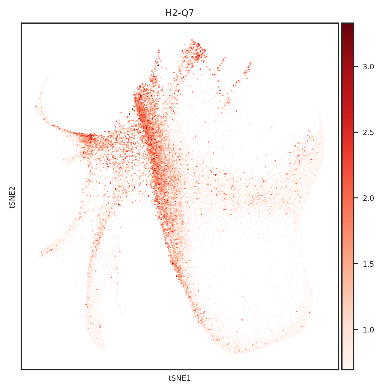 ../_images/notebooks_weinreb_35_19.png