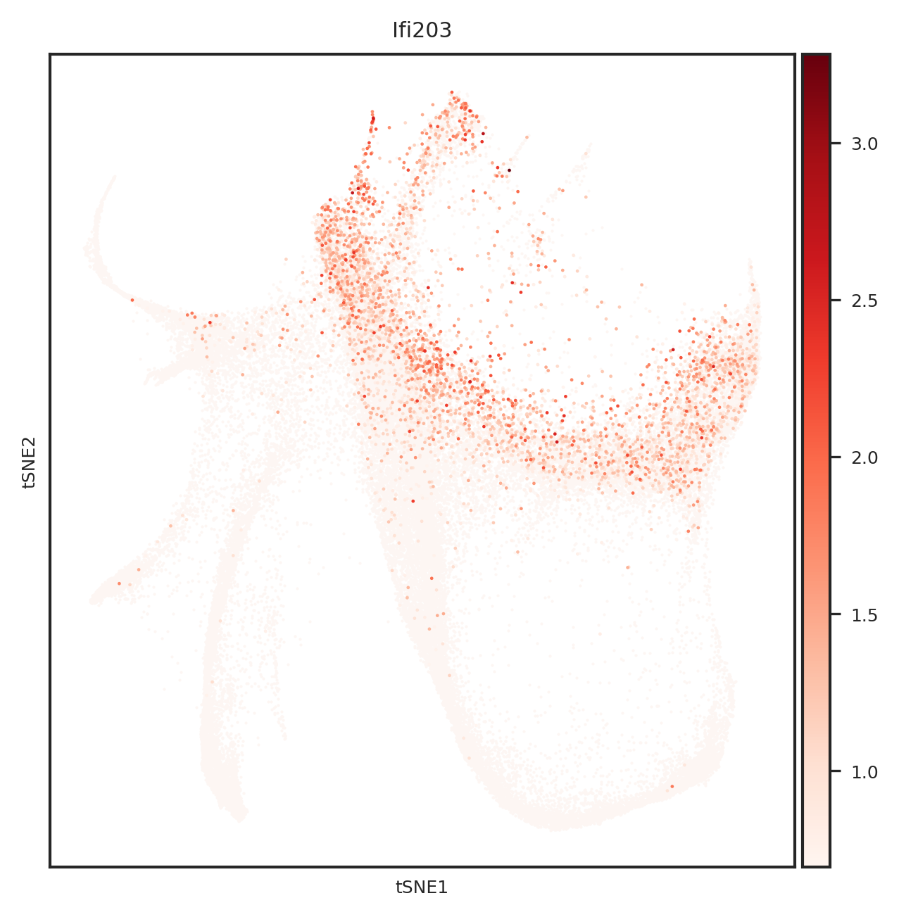 ../_images/notebooks_weinreb_35_6.png