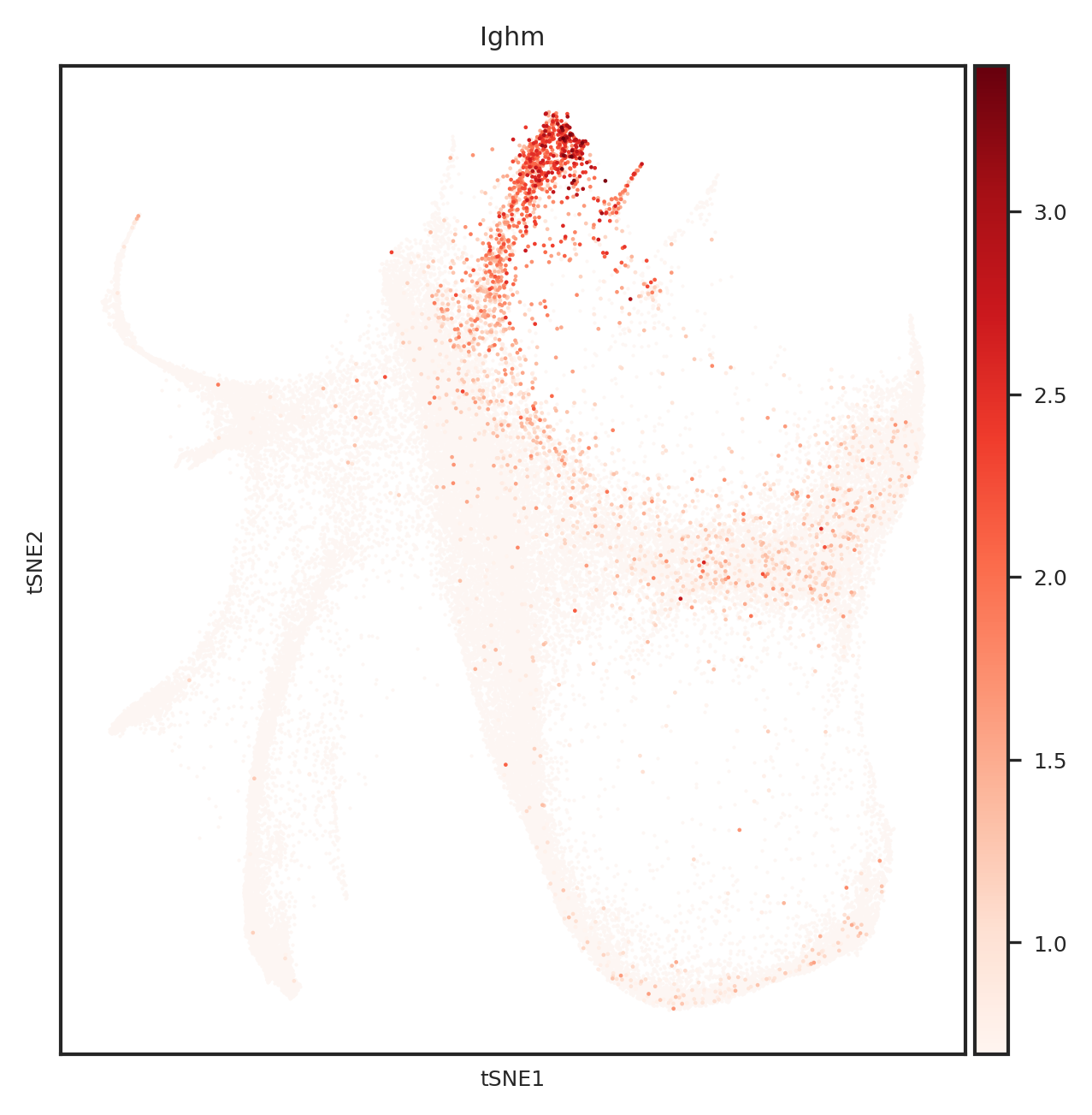 ../_images/notebooks_weinreb_35_8.png
